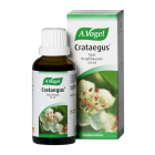 A Vogel Crataegus orapihlajauute 50ml 