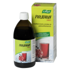 Molkosan Fruit 500ml